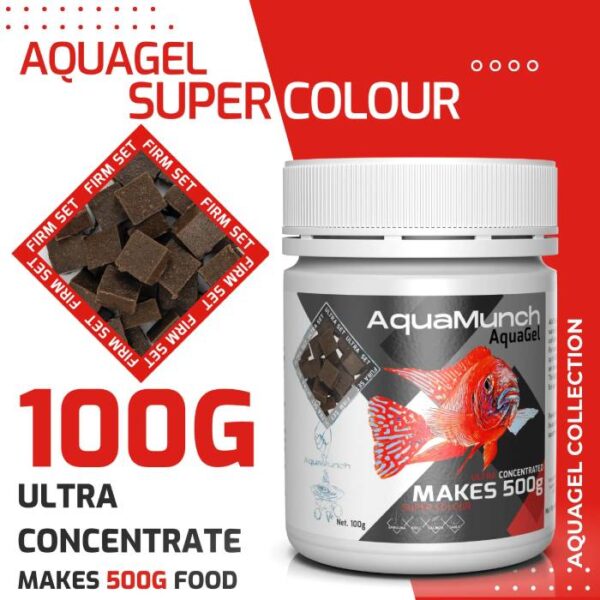 AM SCAG100G