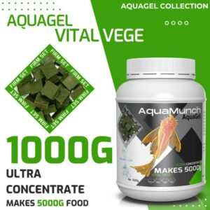 AM VVAG1KG