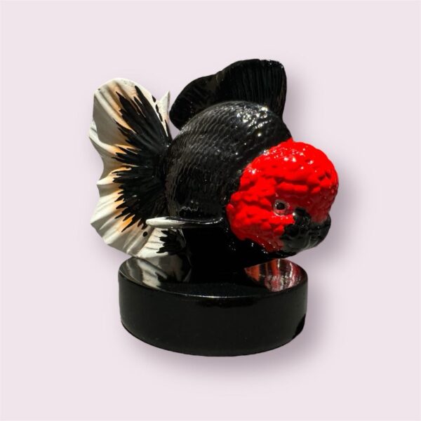 Small Black Oranda with Red Head Statue with Base